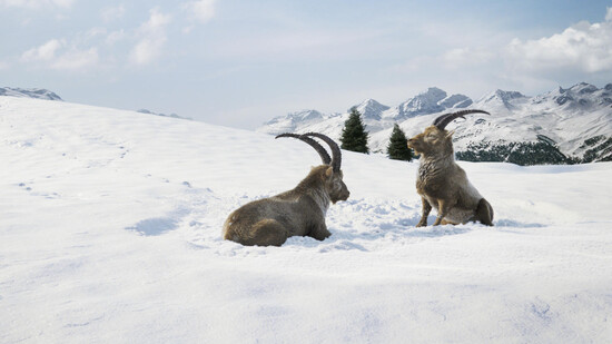 Patgific: Gian und Giachen werben seit Donnerstag wieder für einen gemütlichen Winter in Graubünden. 