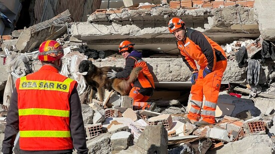 Vier Überlebende geortet: Ein Redog-Katastrophenhund im Einsatz in Hatay.