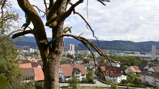 Es war Mord: Das Bezirksgericht Baden verurteilte einen 56-jährigen Schweizer zu einer Freiheitsstrafe von 15 Jahren. Der Mann tötete in Spreitenbach AG (Bild) einen 74-jährigen Deutschen - aus Eifersucht. (Archivbild)