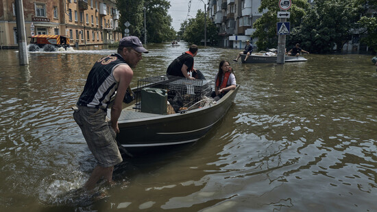 Eine Tragödie mit ungeheuren Folgen: In der Stadt Kherson werden Mensch und Tier vor den Fluten in Sicherheit gebracht.
