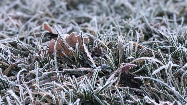 Klirrend kalt: Mit dem Frost ist es nicht abgetan. Bald wird es zusätzlich zur Kälte auch  noch Schnee geben.