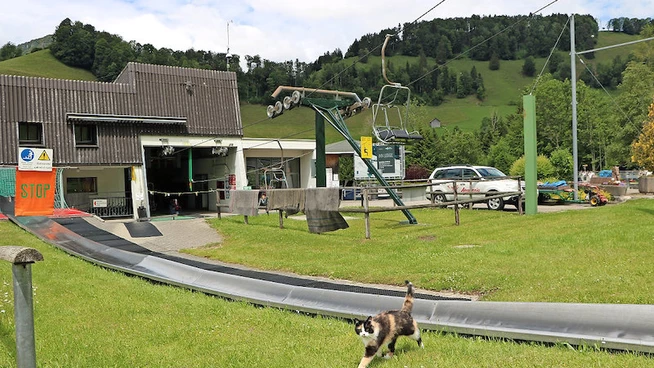 Kaum Gäste: Diese Katze kann im Atzmännig ungestört umherstreunen.Bild Urs Schnider 