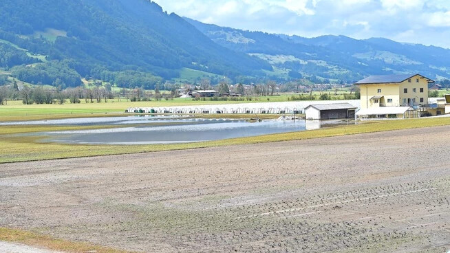 Land unter auf einem der grössten Landwirtschaftsbetriebe der Linthebene: Der Gemüsebauer Peter Kistler hat grosse Schäden zu beklagen.