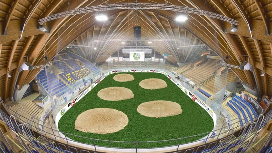 So könnte das Davoser Eisstadion am 18. Juni aussehen. 