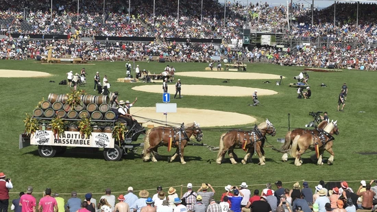 Pratteln wird 2022 die Atmosphäre eines Eidgenössischen Schwingfests erleben