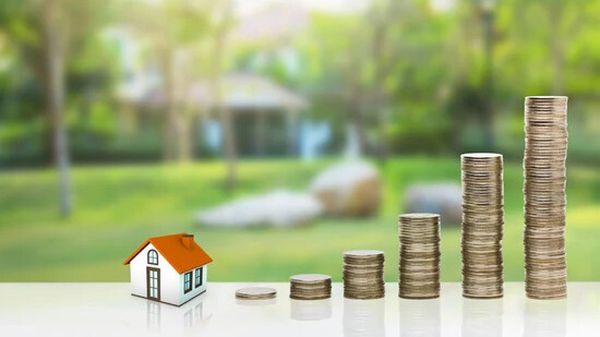 Es gibt drei Arten von Hypotheken: Feste, variable und Libor-Hypothek.