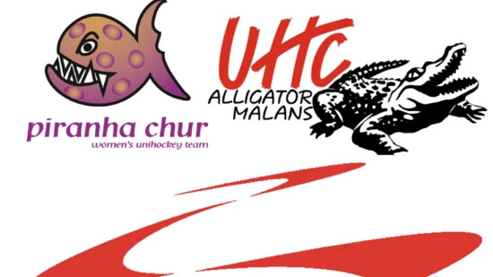Bündner Unihockeyklubs: Piranha Chur, Alligator Malans und Chur Unihockey haben schon erfolgreichere Zeiten erlebt. 