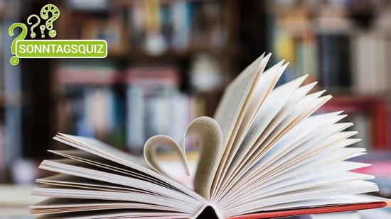 Buchquiz: In diesem Sonntagsquiz geht es um Bücher aus dem Bereich der Philosophie.