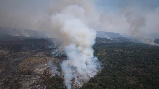 Waldbrände in der Nähe von Cholila in Argentinien. Foto: Victor R. Carivano/AP/dpa