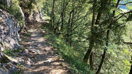 Tödliche Verletzungen: Ein Mountainbikefahrer stürzt auf dem Schabziger Höhenweg an dieser Stelle oberhalb von Mollis den Hang hinunter und stirbt. 