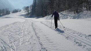 Sportliche Aktivitäten im Winter, Langlauf