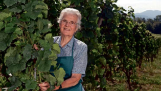 Die 89-jährige Annemarie Davaz arbeitet beinahe täglich in den Rebbergen in Fläsch.