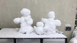 Der Neuschnee reicht sogar für diese herzige Schneemann-Familie.