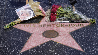 Blumen schmücken den Stern von Olivia Newton-John auf dem Hollywood Walk of Fame. Foto: Damian Dovarganes/AP/dpa