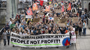 Am Klimademo-Marsch in Zürich wurde unter anderem der Ausbau der erneuerbaren Energie gefordert.