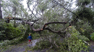 Ein Kind rennt unter einem durch Hurrikan «Ian» umgestürzten Baum durch. Foto: Alex Brandon/AP/dpa