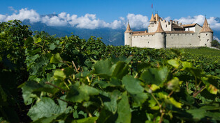 Aigle - bekannt als Weinbauregion mit Schloss. (Archivbild)