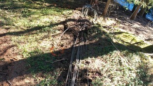 Unfall bei der Arbeit: Das gespannte Seil riss bei den Arbeiten und verletzt dabei einen Forstarbeiter.