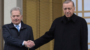 Recep Tayyip Erdogan (r), Präsident der Türkei, und Sauli Niinistö, Präsident von Finnland, geben sich die Hand. Foto: Burhan Ozbilici/AP