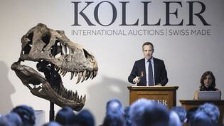 Das T-Rex-Skelett "Trinity" wurde am Dienstag in Zürich für 4,8 Millionen Franken versteigert.