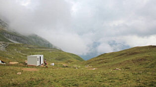 Begehrt: Mobile Unterkünfte für die Hirtschaft wie dieser Wohncontainer auf der Stutzalp bei Splügen schaffen Alpen als Herdenschutzmassnahme an.