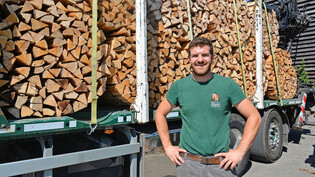 Brennholzrüster Walter Riget vor einer Ladung Holz: Die 18 Ster decken den Energiebedarf von zwei Einfamilienhäusern.