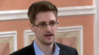 Nun auch russischer Staatsbürger: In diesem Standbild eines von Wikileaks veröffentlichten Videos spricht der ehemalige NSA-Analyst Edward Snowden im Oktober 2013 in Moskau. 