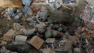 Trennen hilft: Recycelbare Abfälle sollten separat gesammelt werden.