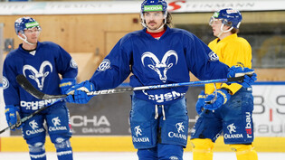 Verlässlich: Matej Stransky liefert beim HC Davos auch in dieser Saison ab.