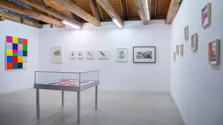 Blick in die Ausstellung der Künstlerin Laura Bott, fotografiert am 11.04.23 in der Galaria Fravi in Domat/Ems. Laura Bott stellt ihre Kunstwerke mit Hilfe von Öl und Acryl, Gips sowie Wachs her. 

