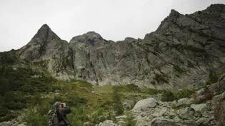 Während der Hochjagd im September erlegen die Jäger im Kanton Graubünden gegen 10'000 Tiere.