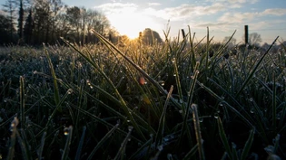 Minustemperaturen gab es unter anderem in Einsiedeln SZ und Visp VS. (Symbolbild)