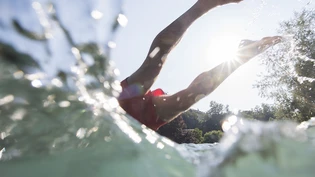 Eine Wasserratte springt bei heissem Sommerwetter in die verhältnismässig kühle Aare in Bern.