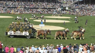 Auch für Zug 2019 darf eine grossartige Stimmung erwartet werden