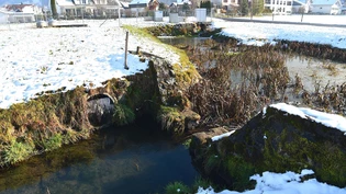 Im Schänner Chrüppelbach schwimmen laut Fischern immer noch Tampons, Binden und WC-Papier.