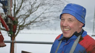 Pediküre: Ernst Schnider kümmert sich um die Klauenpflege von Kühen. 