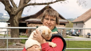 Engagiert: Franziska Landolt-Hari hat schon öfter streunende Katzen eingefangen und kastrieren lassen.