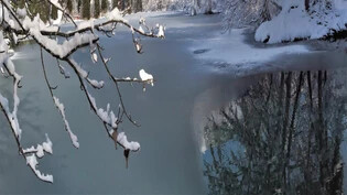 Letzte Woche bot der Crestasee eine frisch verschneite Wintertraumlandschaft.
