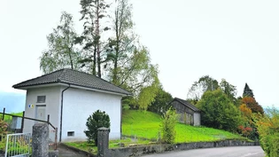 Ort des Geschehens: Der Neubau ist auf dieser Wiese geplant.