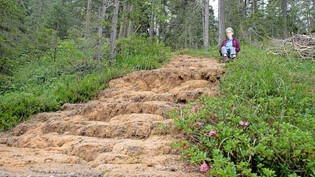 Mystisch: Die ungefasste Mineralquelle von San Jon Dadaint liegt mitten im Wald und fasziniert Marianna Sempert jedes Mal wieder von Neuem. Bild Mayk Wendt