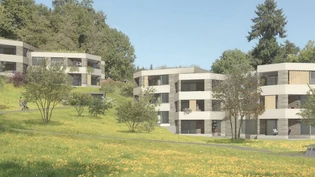 Gegenwart – und Zukunft? An der Meienhalde am Fuss des Meienbergs in Rapperswil-Jona sollen nach dem Willen von Stadt und einer privaten Bauherrschaft 17 Wohnungen in zwei Gebäuden entstehen (Blick aus Südwesten).Bild Pascal Büsser/Visualisierung Neopol A