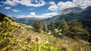 Die Ferienregion Engadin Samnaun Val Müstair gilt als Musterregion für nachhaltigen Tourismus