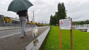 Vorsichtig sein: Hundehalter sollten in Schmerikon gut auf ihre Tiere achten. 