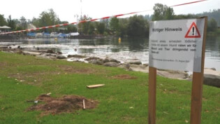 Abgesperrtes Seeufer: In Schmerikon warnte die Gemeinde letzten Sommer vor Blaualgen.