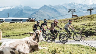 Hoch hinauf: Drei Biker am Enduro-Team-Rennen 2021 in Davos. 