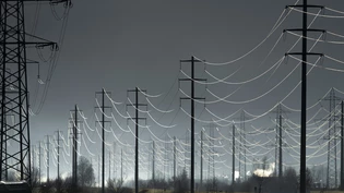 Stromleitungen entlang des Linthkanals: In Schänis sollen Windräder das Landschaftsbild ergänzen – was ganz vielen gar nicht gefällt. 