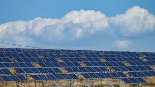 Die EU will die Produktion von Solarzellen und weiteren klimaneutralen Technologien ankurbeln. (Archivbild)