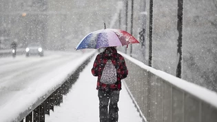 Der Schirm war am Donnerstagmorgen dringend nötig: Passant auf der Berner Kirchenfeldbrücke.