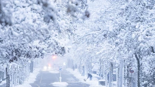 Winterwunderland in der Schweiz.