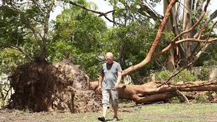 Storm damage is seen at Ruth Tce in Oxenford on the Gold Coast , Queensland, Wednesday, December 27, 2023. Storms ravaging Queensland have claimed six lives since Christmas Day with one person missing in floodwaters. (AAP Image/Jason O?Brien) NO ARCHIVING
